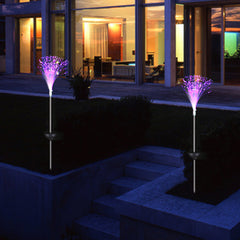 Novelty Optic Fiber Pathway Lights