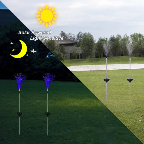 Novelty Optic Fiber Pathway Lights