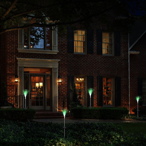 Novelty Optic Fiber Pathway Lights