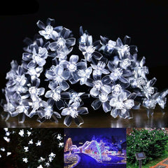 Lovely Blossom Fairy Lights