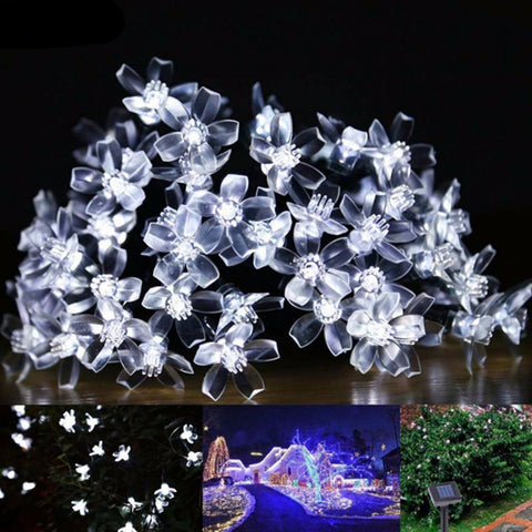 Lovely Blossom Fairy Lights