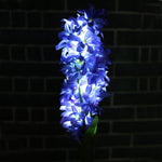 Hyacinth Flower LED Garden Lights Lamps