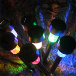 Spike Garden LED Pathway Light
