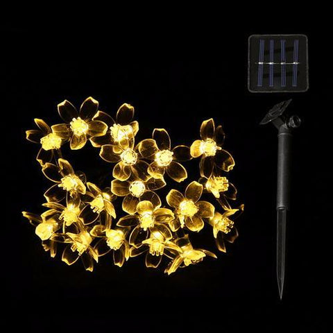 Lovely Blossom Fairy Lights