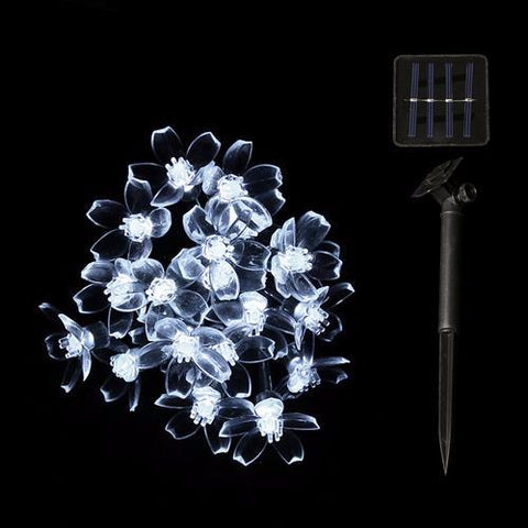 Lovely Blossom Fairy Lights